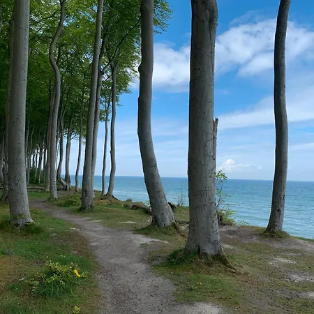 Mit Sauna Und Kamin *