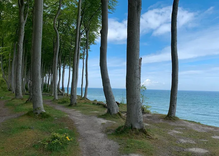 Mit Sauna Und Kamin *